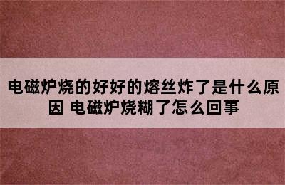 电磁炉烧的好好的熔丝炸了是什么原因 电磁炉烧糊了怎么回事